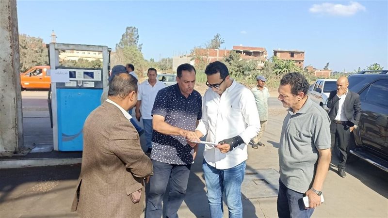 نائب محافظ البحيرة،