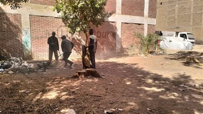 مجلس مدينة الأقصر يزيل 30 طن أتربة (صور)