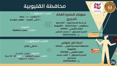 القليوبية تنظم اليوم ملتقى لتوفير 4 آلاف فرصة عمل 