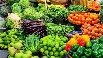 وزير الزراعة يكشف عن طفرة في الصادرات والأسواق الجديدة