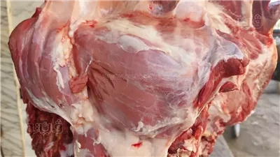  يصل لـ 14 جنيهًا، انخفاض أسعار اللحوم الكندوز في الأسواق