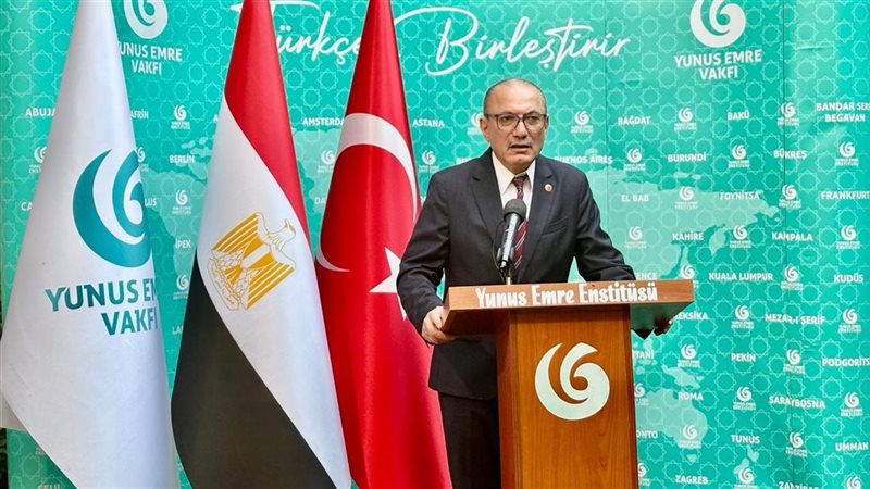 سفير تركيا بالقاهره،فيتو