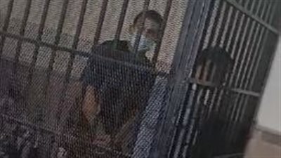 غدا، محاكمة اللاعب أحمد ياسر المحمدي بتهمة اغتصاب فتاة أجنبية في قطر