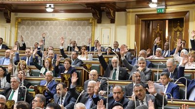 يتبع رئيس الجمهورية، النواب يوافق على إنشاء المجلس الوطني للتعليم 