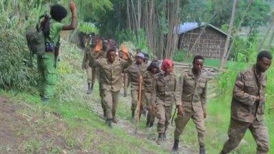 إثيوبيا تقع في الفخ، فانو الأمهرية تجرد قوات آبي أحمد من أسلحتها وتأسر 200 جندي (فيديو)