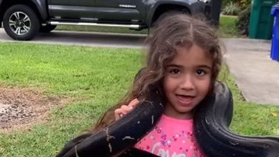 غضب لترك فتاة صغيرة تلف ثعبانا ضخما على رقبتها لجذب المشاهدات 