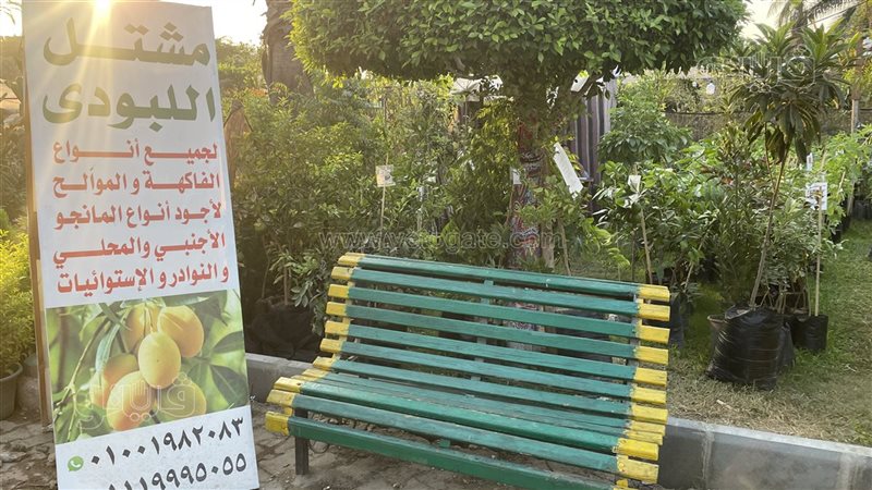 الفاكهة والموالح
