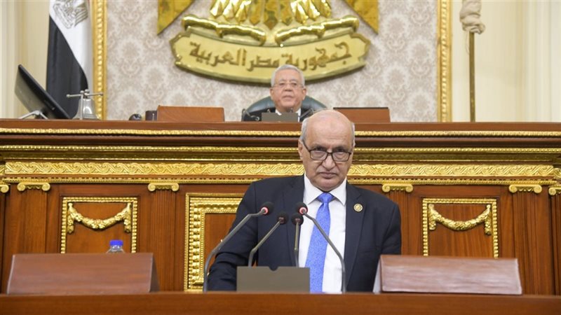 مناقشة إنشاء المجلس