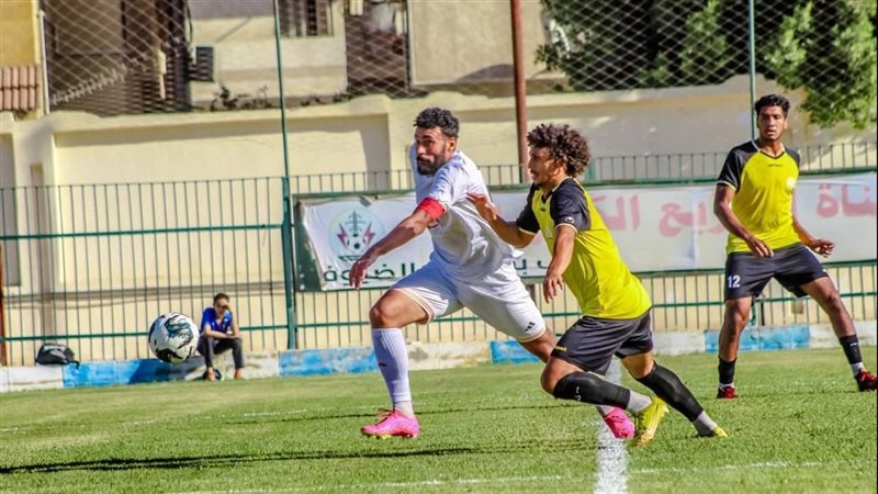 دوري المحترفين 