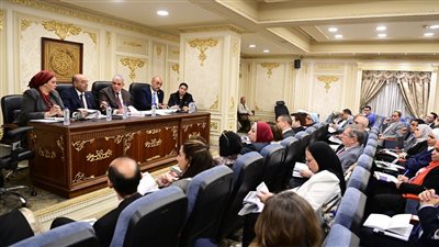 تمهيدا لإعداد التقرير النهائي للعرض على الجلسة العامة.. قوى عاملة النواب تحسم المواد الخلافية بمشروع قانون العمل الجديد.. حذف العمالة المنزلية بسبب التفتيش.. وهذه قواعد إنهاء علاقة العامل