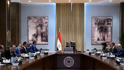 رئيس الوزراء يستكمل مناقشات مشروع القانون المقترح لمناطق المال والأعمال