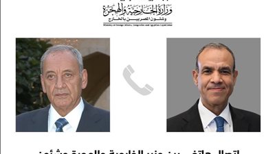 وزير الخارجية لـ نبيه بري: نرفض المساس بسيادة لبنان وسلامة أراضيه 