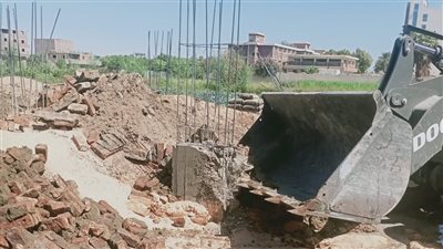 إزالة 30 حالة تعدٍ على الأراضي بأرمنت في الأقصر (صور)