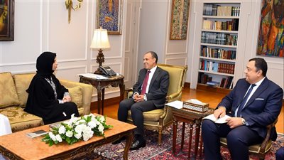 وزير الخارجية يكشف سبب توقف تدفق المساعدات الإنسانية عبر معبر رفح (صور)