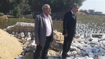 الزراعة: نواجه التعديات على الأراضي الزراعية بكل شدة