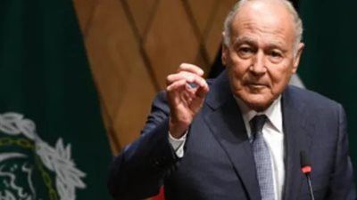 أبو الغيط يدين انتهاكات الدعم السريع في السودان 