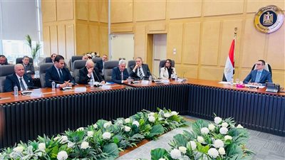 وزير الاستثمار يبحث مع وكلاء شركات السيارات العالمية توطين الصناعة في مصر