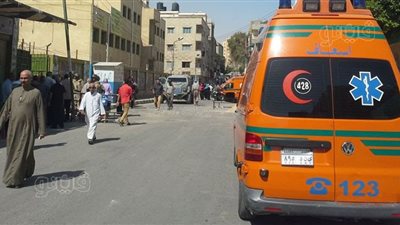 مصرع وإصابة شقيقين في انقلاب سيارة بسوهاج 