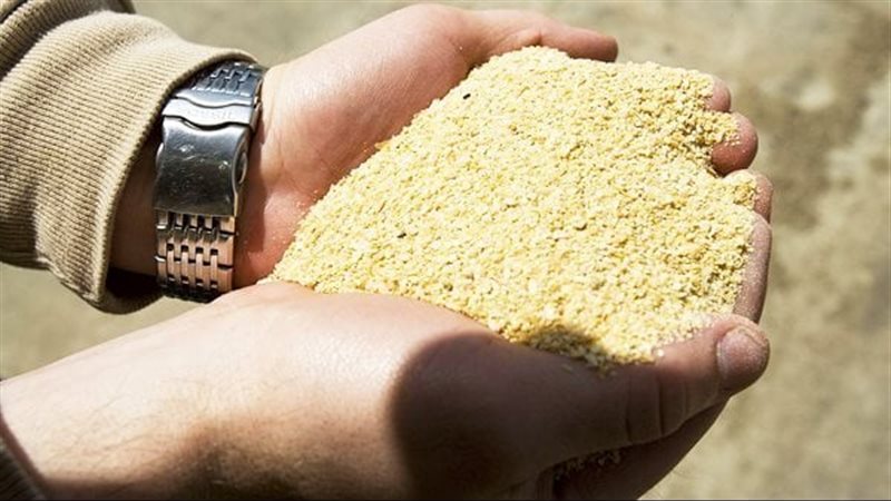 أسعار الأعلاف والحبوب