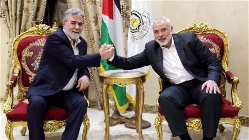 هنية والنخالة، فيتو