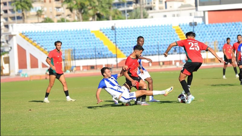 دوري المحترفين 
