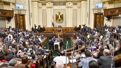 رئيس لجنة الشباب والرياضة بمجلس النواب: إحالة القانون الجديد إلى البرلمان لمناقشته الأسبوع المقبل