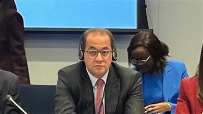 وزير المالية: 3 أولويات لتعزيز البنية المالية الإفريقية في مواجهة التحديات العالمية