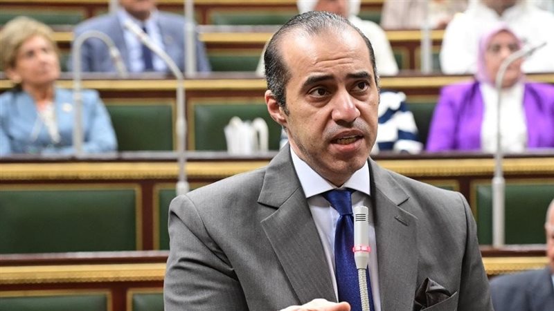 المستشار محمود فوزي