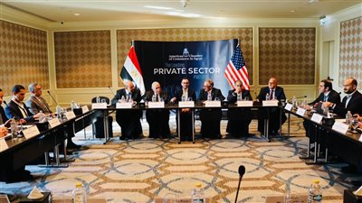 الخطيب يستعرض فرصا ومقومات الاستثمار بالسوق المصري