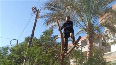 نشاط مكثف للأجهزة التنفيذية لرفع مستوى الخدمات بالشرقية 