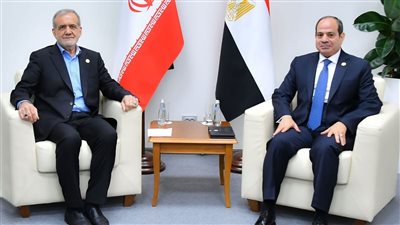 رؤساء مصر وتركيا وإيران وفلسطين وبنجلاديش وإندونيسيا وباكستان يشاركون في قمة الدول الثماني 