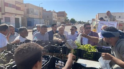 التموين: إطلاق 8 سيارات متنقلة محملة بالسلع الغذائية بمدينة الطور