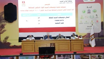 9 قرارات خلال اجتماع المجلس التنفيذي للوادي الجديد، تعرف عليها