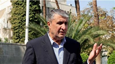 رئيس منظمة الطاقة الذرية الإيرانية: لسنا قلقون من أي هجوم على منشآتنا النووية لكن الرد سيكون مدمرا