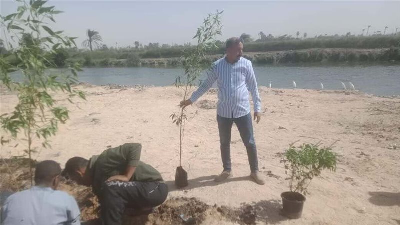 زراعة 107 شتلات بمركزي