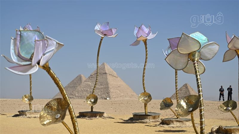 لوتس للفنانة شيلو