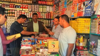 تحرير 22 محضرا خلال حملة تموينية على المحلات والأسواق في طما بسوهاج