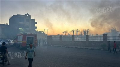 لحظة نشوب حريق هائل بمحيط معبد الكرنك في الأقصر (فيديو)