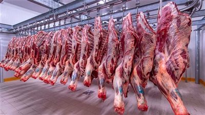 ارتفاع أسعار اللحوم الحمراء 