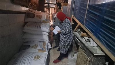 حملة مكبرة على المحلات والأسواق غرب المنصورة (صور)