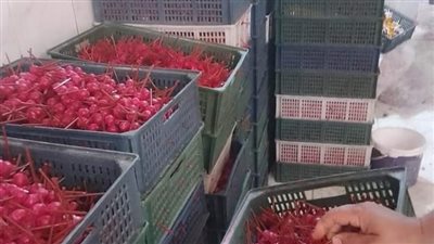 التحفظ على 5 آلاف قطعة مصاصة مجهولة المصدر بالقليوبية