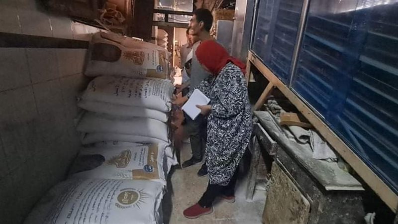 حملة لحي غرب المنصورة،
