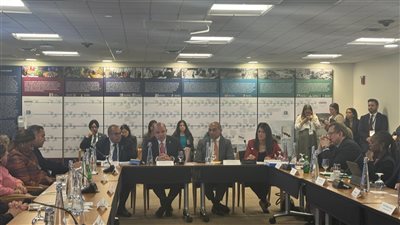 رئيس الرقابة المالية يستعرض التجربة الرائدة في إطلاق أول سوق كربون طوعي منظم