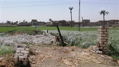 إزالة 136 حالة تعدٍ على أراضي الدولة ببني سويف