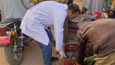 بيطري سوهاج يقود حملة كبيرة على الأسواق والمجازر