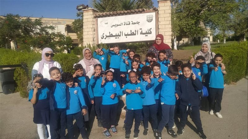 جانب من الفعاليات،فيتو