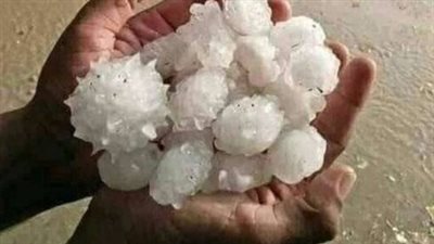 بعد انتشار العقارب وهدم المنازل في أسوان.. الخوف يسيطر على النشطاء