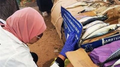 ضبط 154 كجم لحوم وأسماك غير صالحة بمراكز الشرقية 