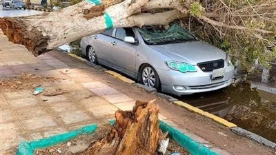 بعد تقلبات الطقس في أسوان.. خسائر فادحة والعقارب تطارد المواطنين | صور