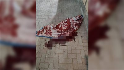 سيلفي الموت.. مصرع شاب وفتاة صدمتهما سيارة وسقطا من أعلى كوبري النيل ببني سويف